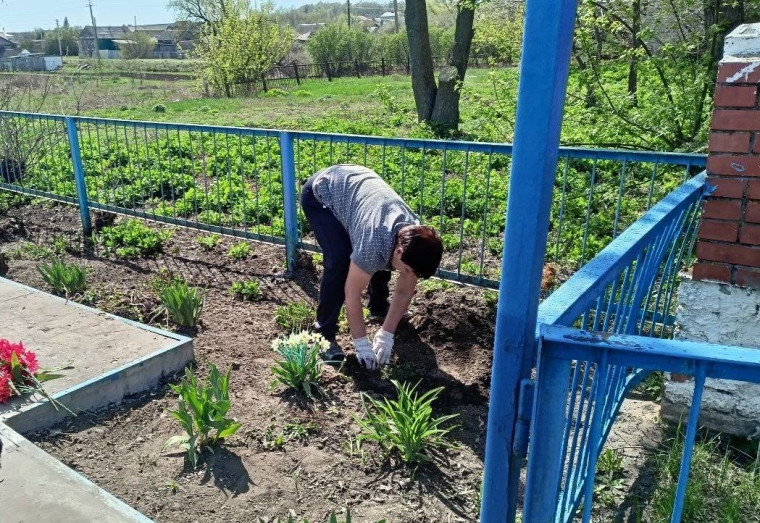 День Земли.
